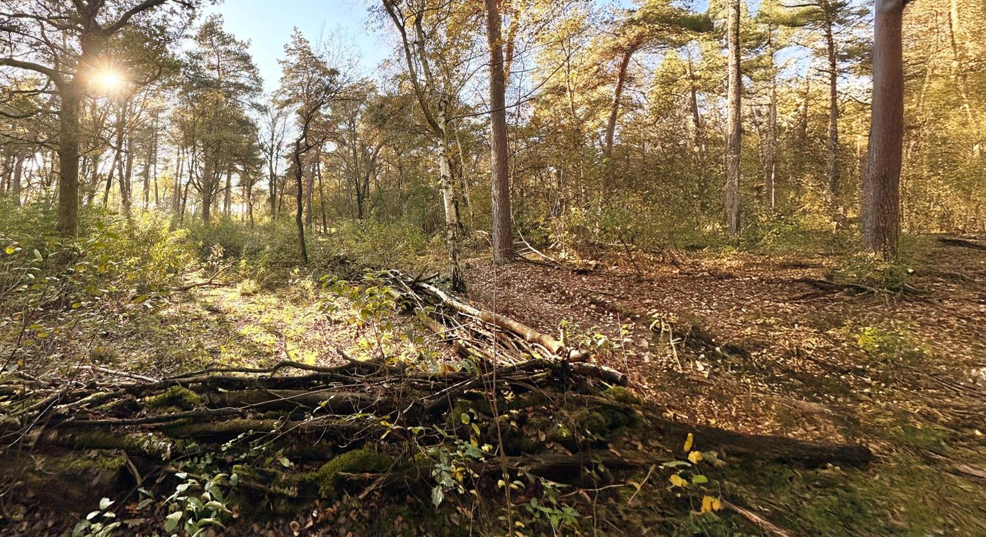 Wellness Tuin - Ultieme Partner Beleving - St Hubertus Suite Met Jacuzzi ,Openhaard, Prive Hottub En Prive Sauna In Jachthut Stijl Horst Esterno foto